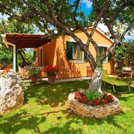 Guest House Bizjak Vinkuran Exterior foto